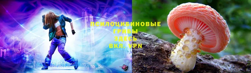 Псилоцибиновые грибы Magic Shrooms  Белый 